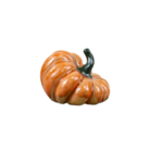 mug citrouilles