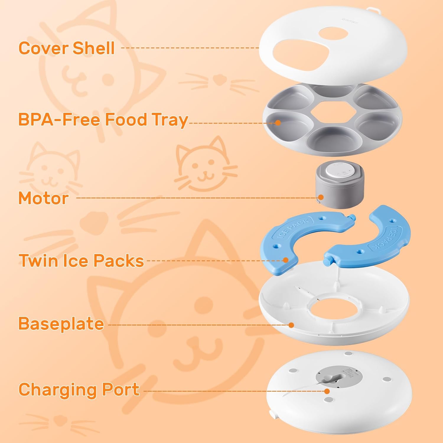 61dXjlBhigL._AC_SL1500_