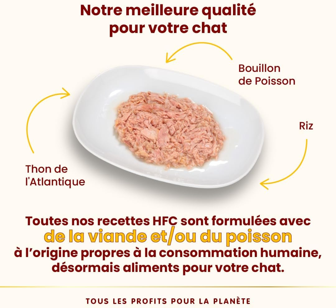 Alimentation chat adulte sensible