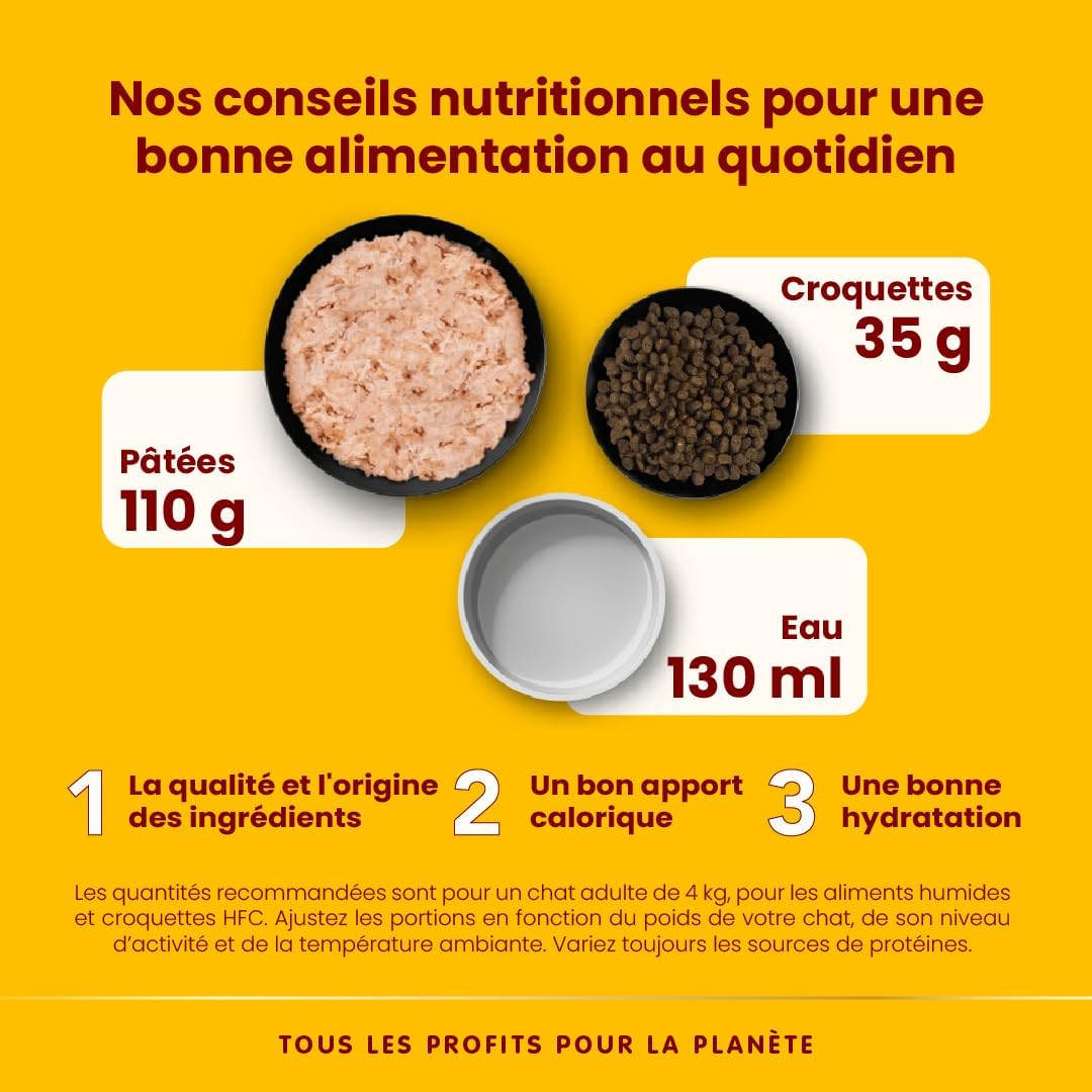 Alimentation chat adulte sensible, riche en poisson