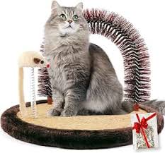 Brosse toilettage chat