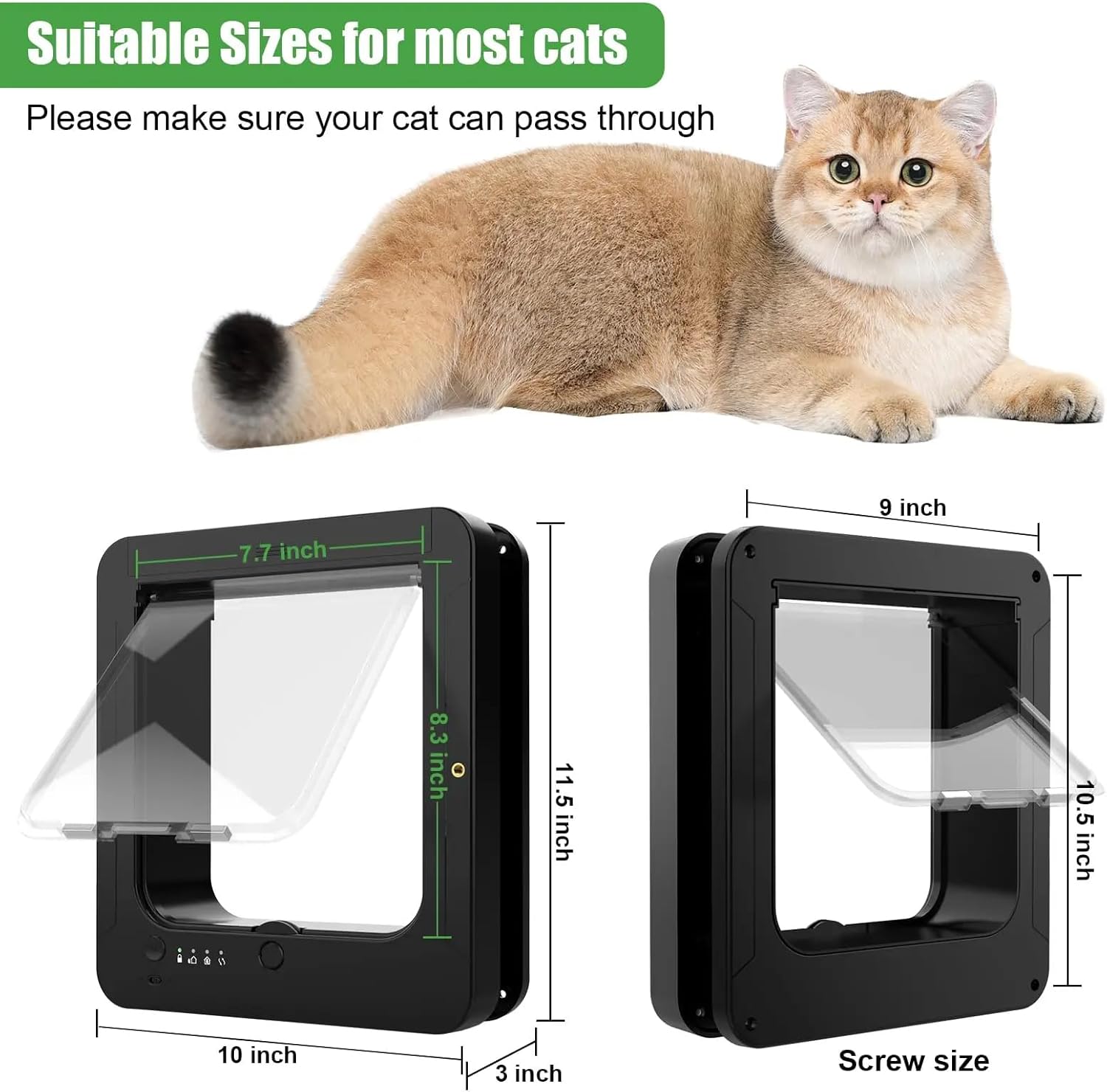 Vue de la porte ouverte, adaptée aux chats et petits chiens