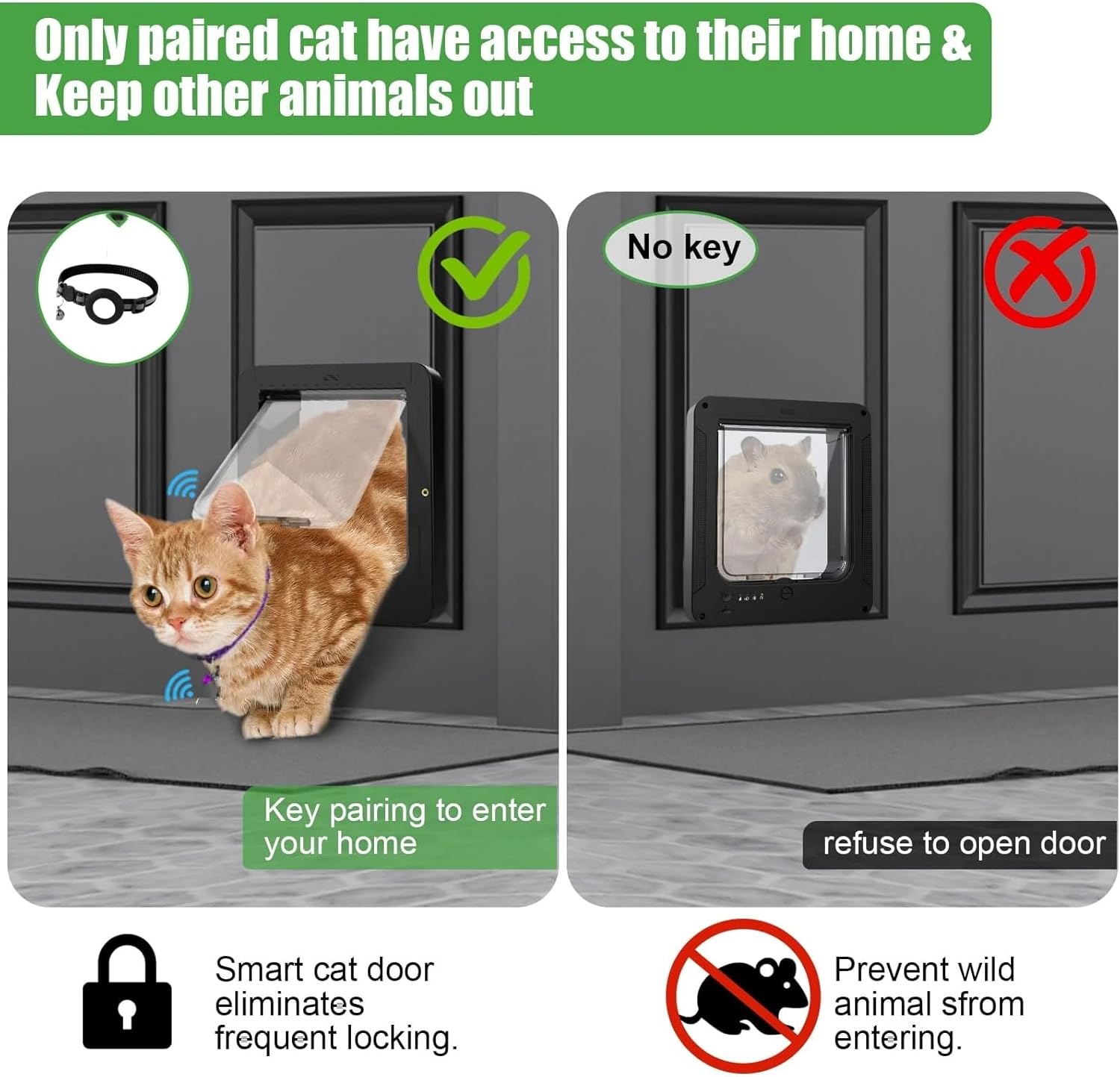 Télécommande de contrôle de la porte de chat électronique