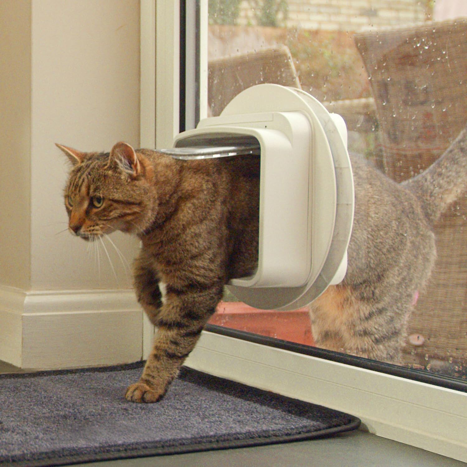 Chatière installée sur une fenêtre, compatible multi-supports