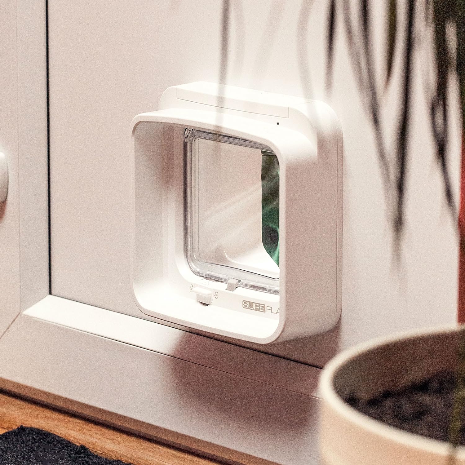 Chat passant par la chatière à puce électronique SureFlap