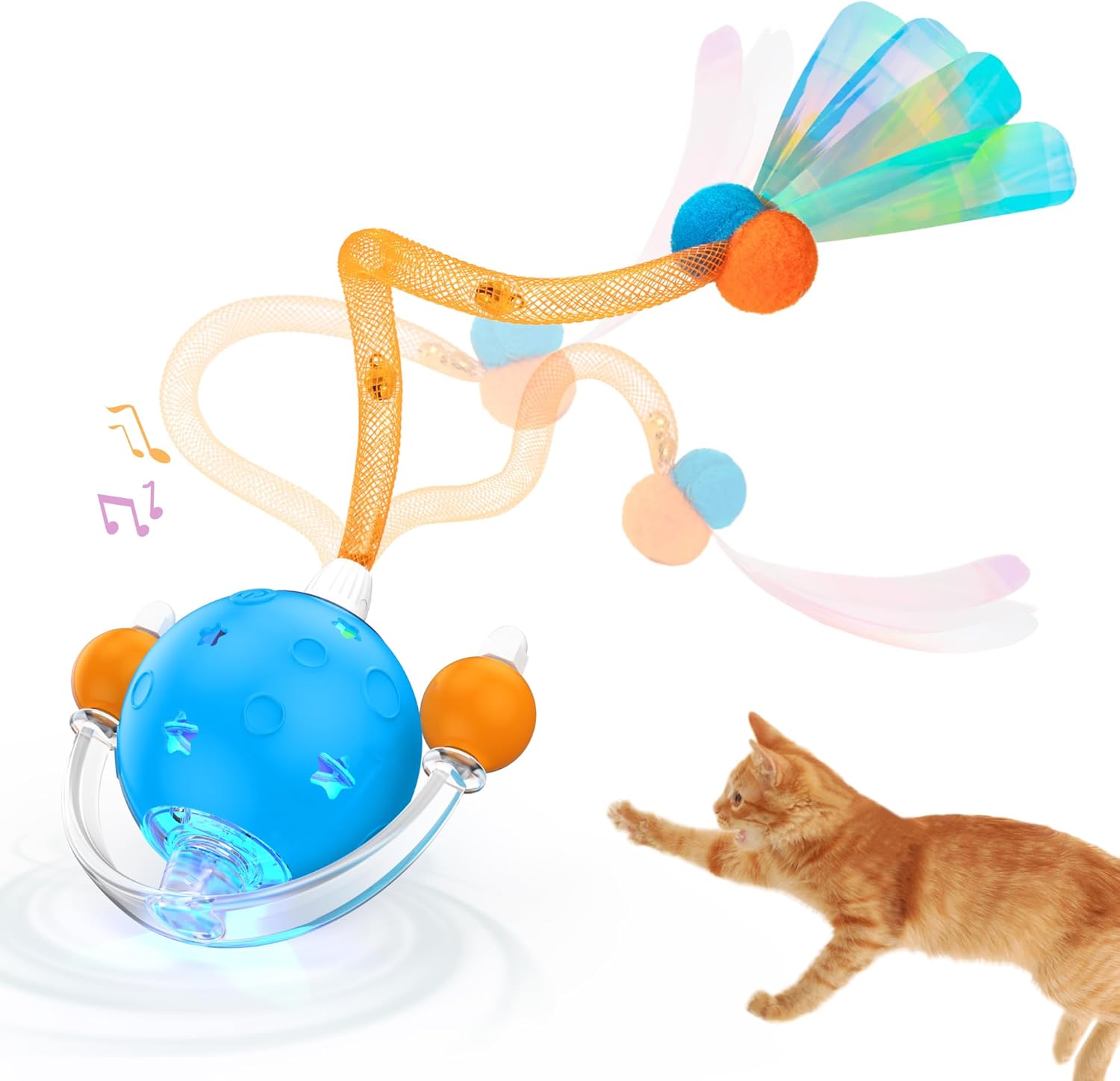 Chat curieux devant la balle Pubialo en mode sonore "souris"