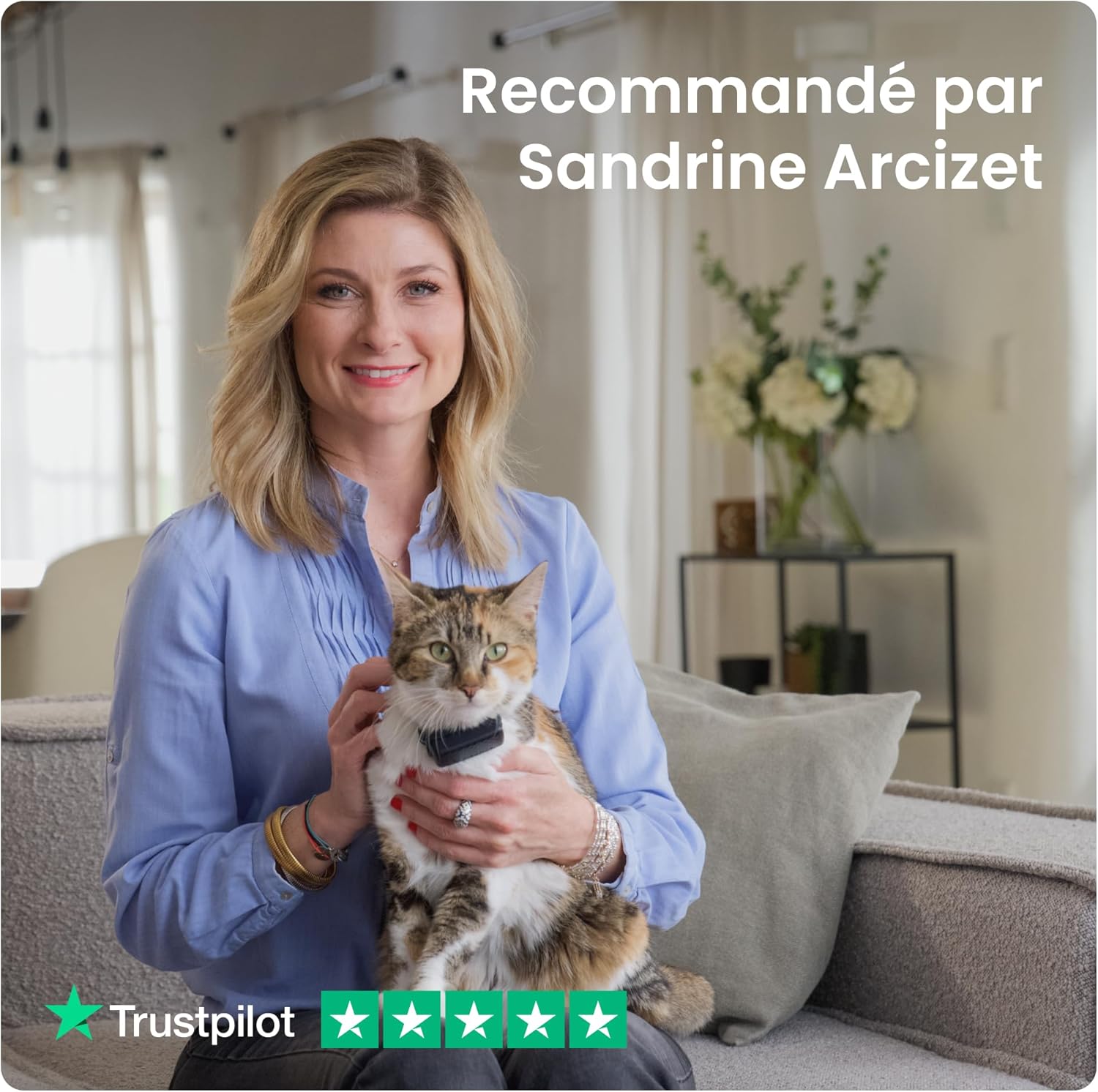 Graphique d’analyse d’activité et de territoire sur l’application Tractive