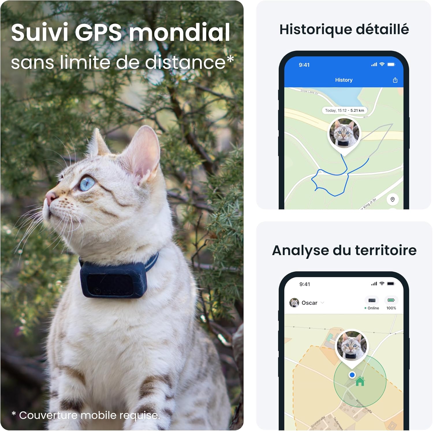 Chat explorant le jardin équipé du collier GPS Tractive