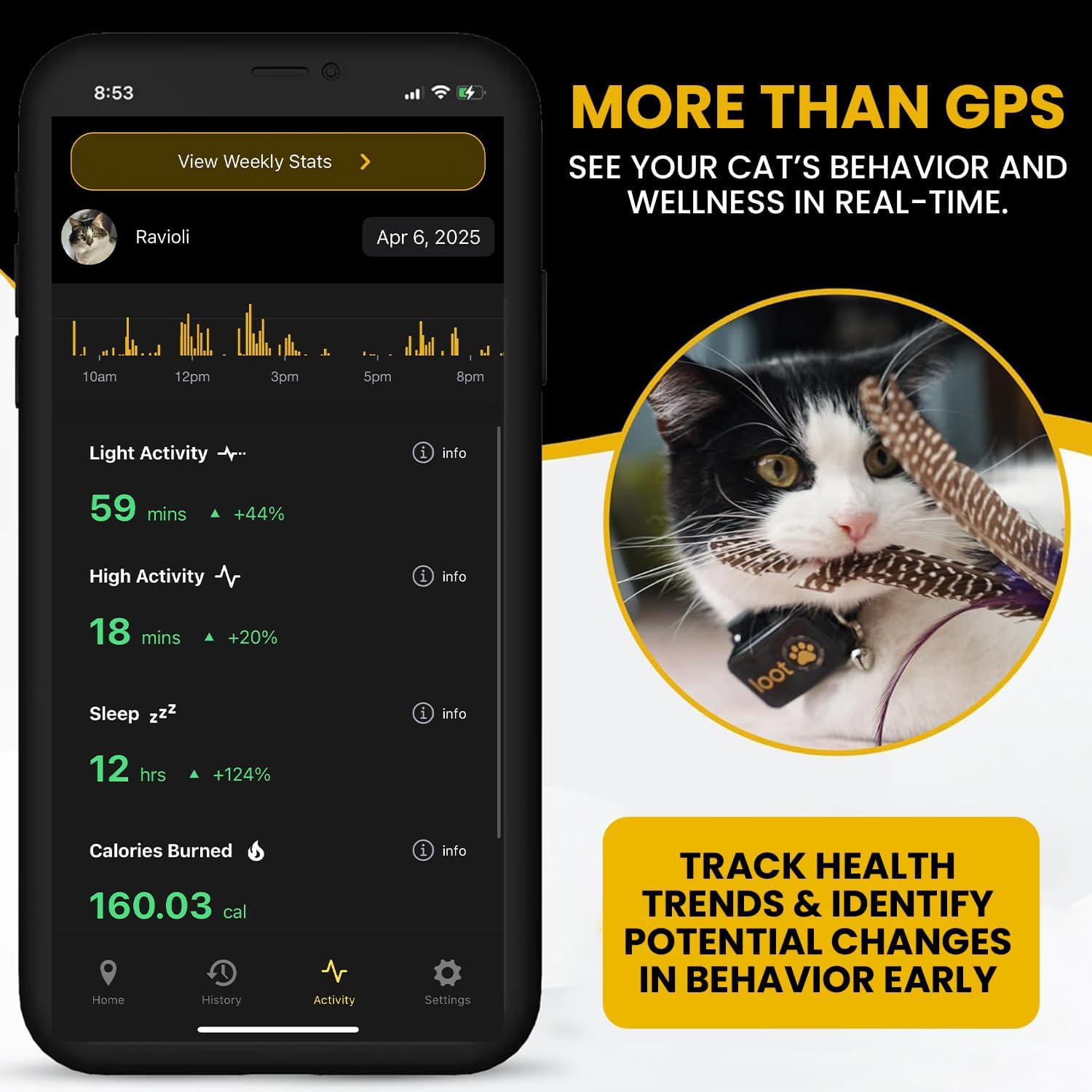 Graphique d’analyse d’activité et de santé sur l’application LootPaw