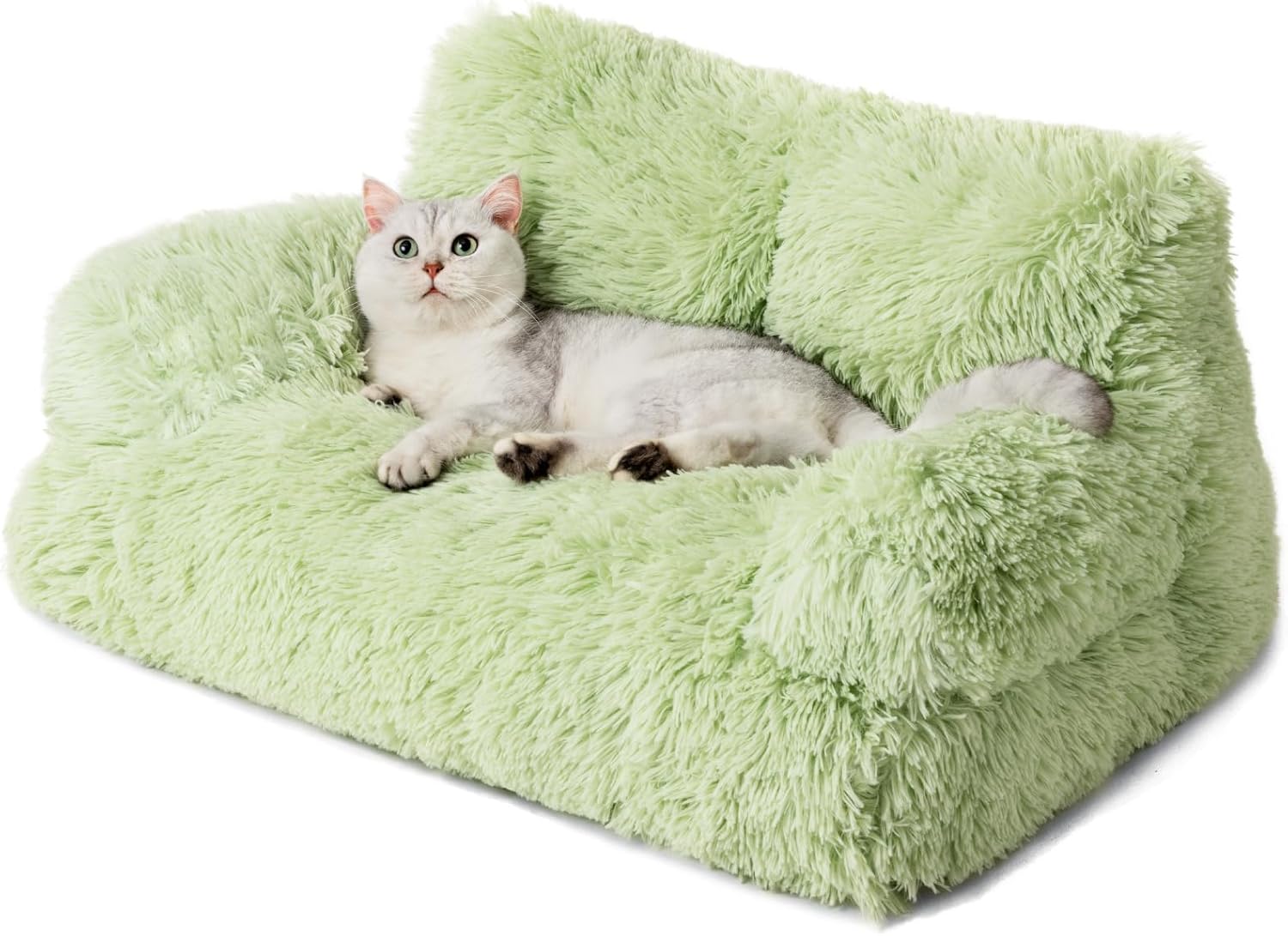 Chat confortablement installé sur le canapé-lit MEWOOFUN