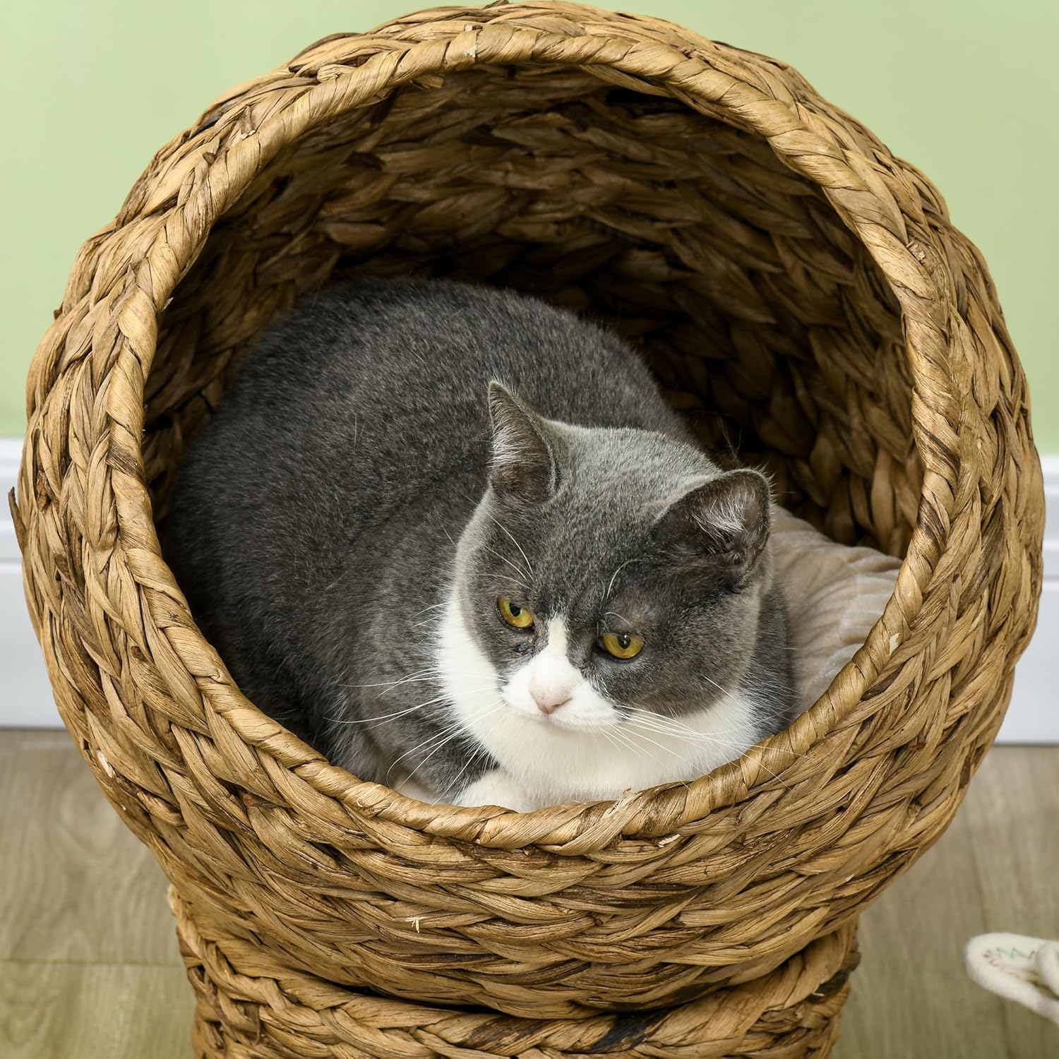 Panier lit surélevé PawHut en feuilles de bananier avec coussin beige