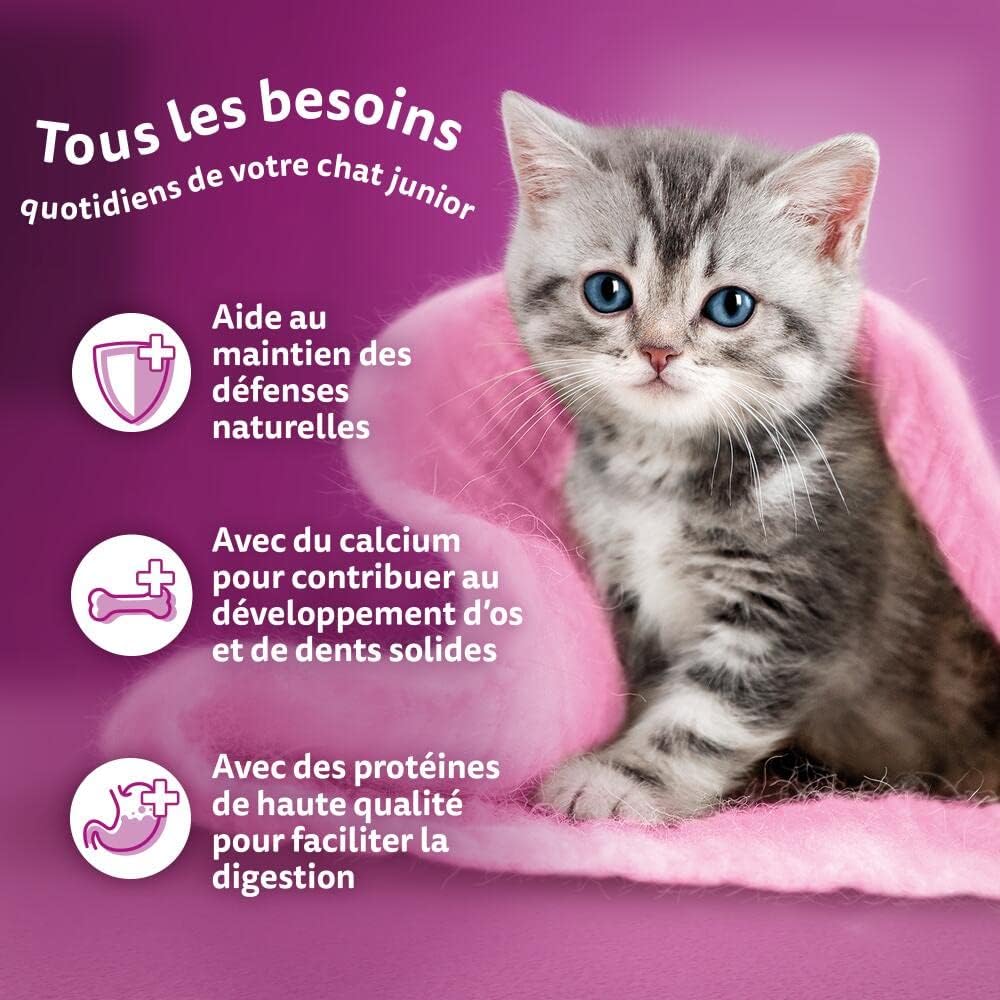 Sachets WHISKAS Junior saveurs poulet, volaille, bœuf, agneau