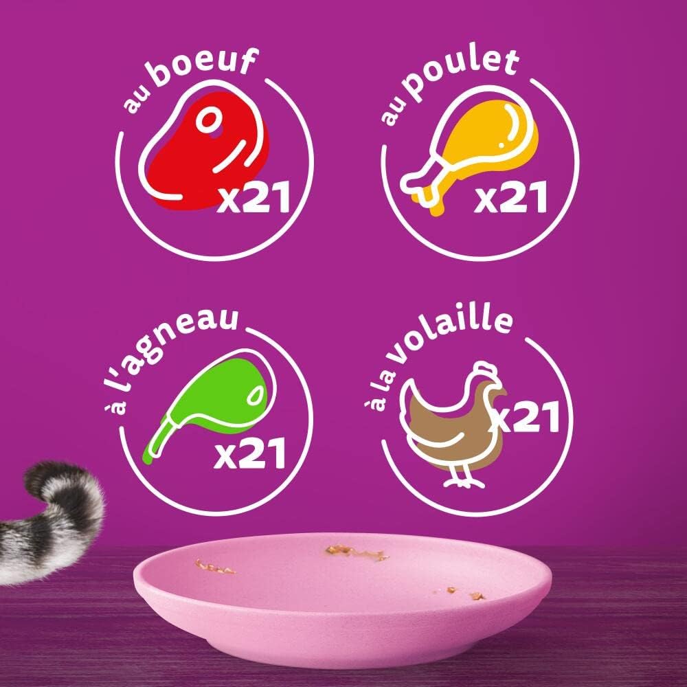 Emballage pratique et coloré du lot WHISKAS Junior