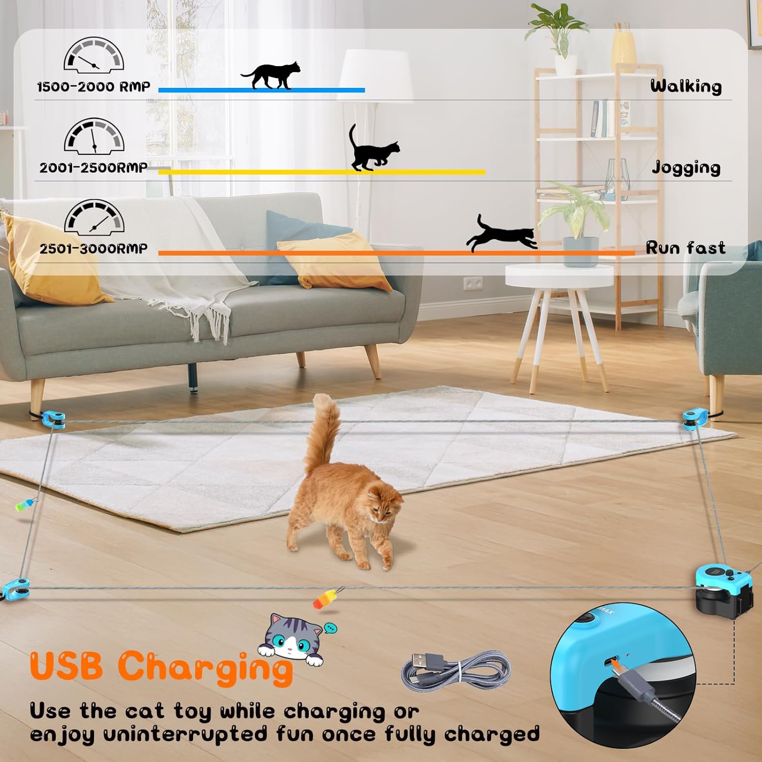 Chat jouant avec la souris ITSHINY sur parcours en triangle