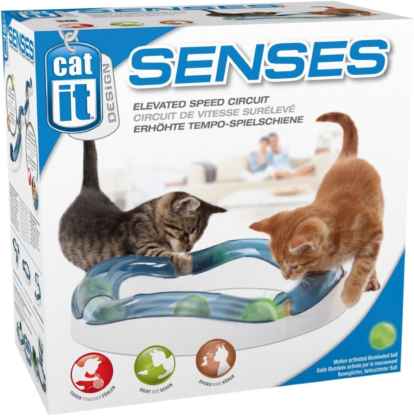 Chat en pleine chasse sur la piste Catit
