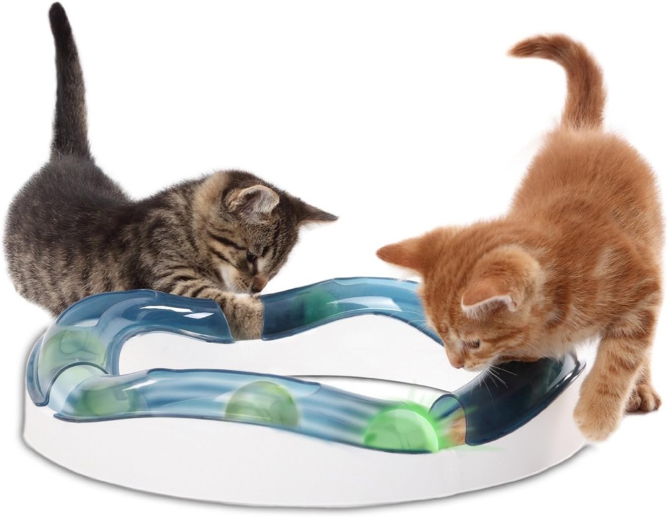 Chat jouant avec le Speed Circuit Catit et la balle lumineuse
