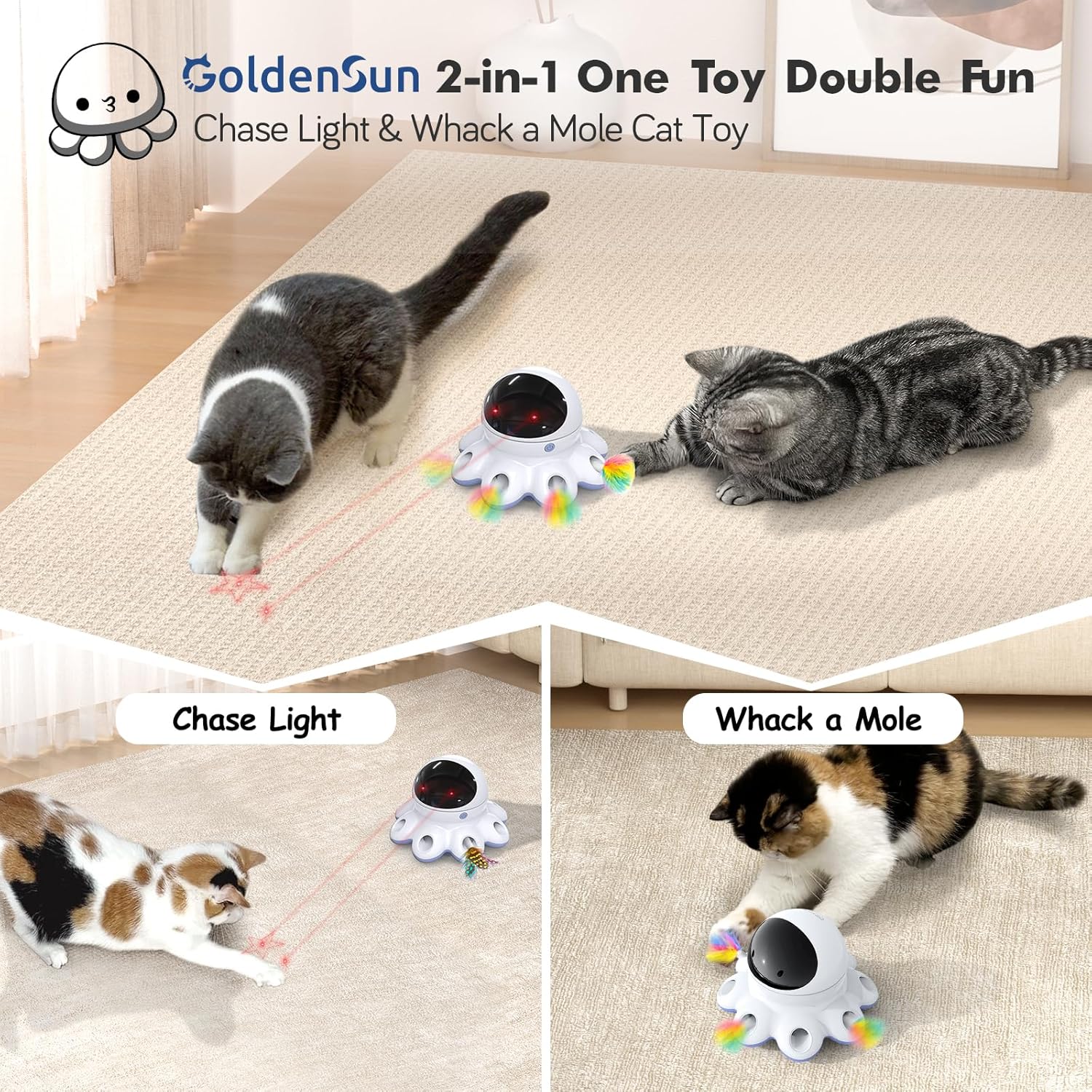 Chat bondissant sur une plume surgissant du jouet GoldenSun