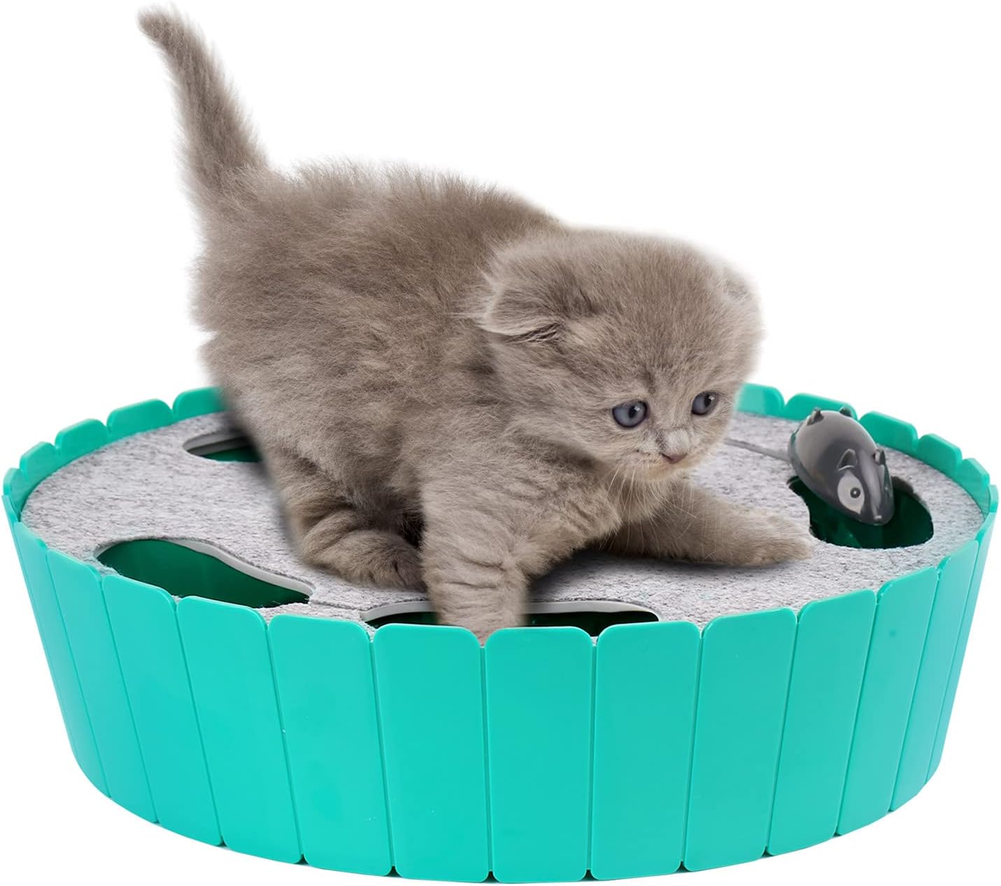 Chaton captivé par la souris interactive Pawaboo