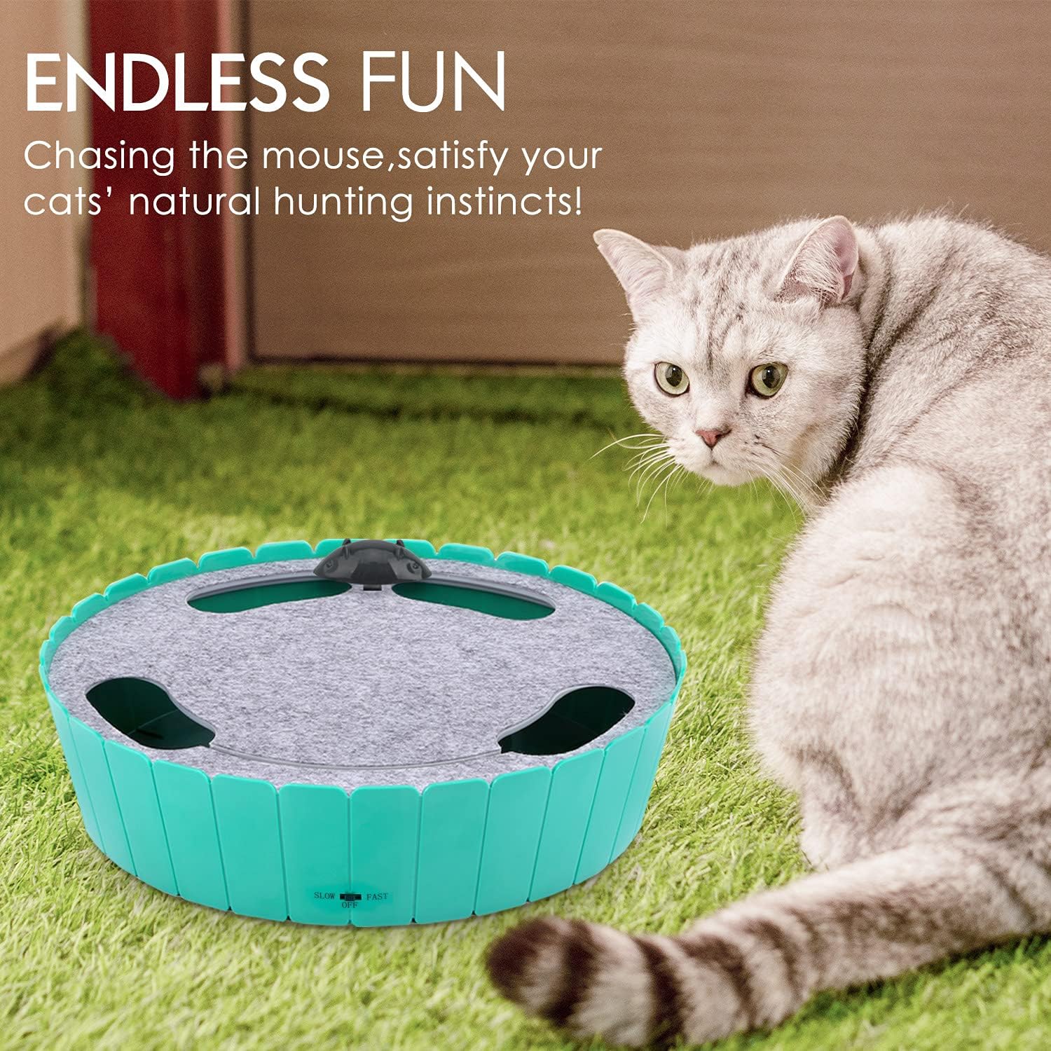 Chat jouant avec la souris électrique Pawaboo