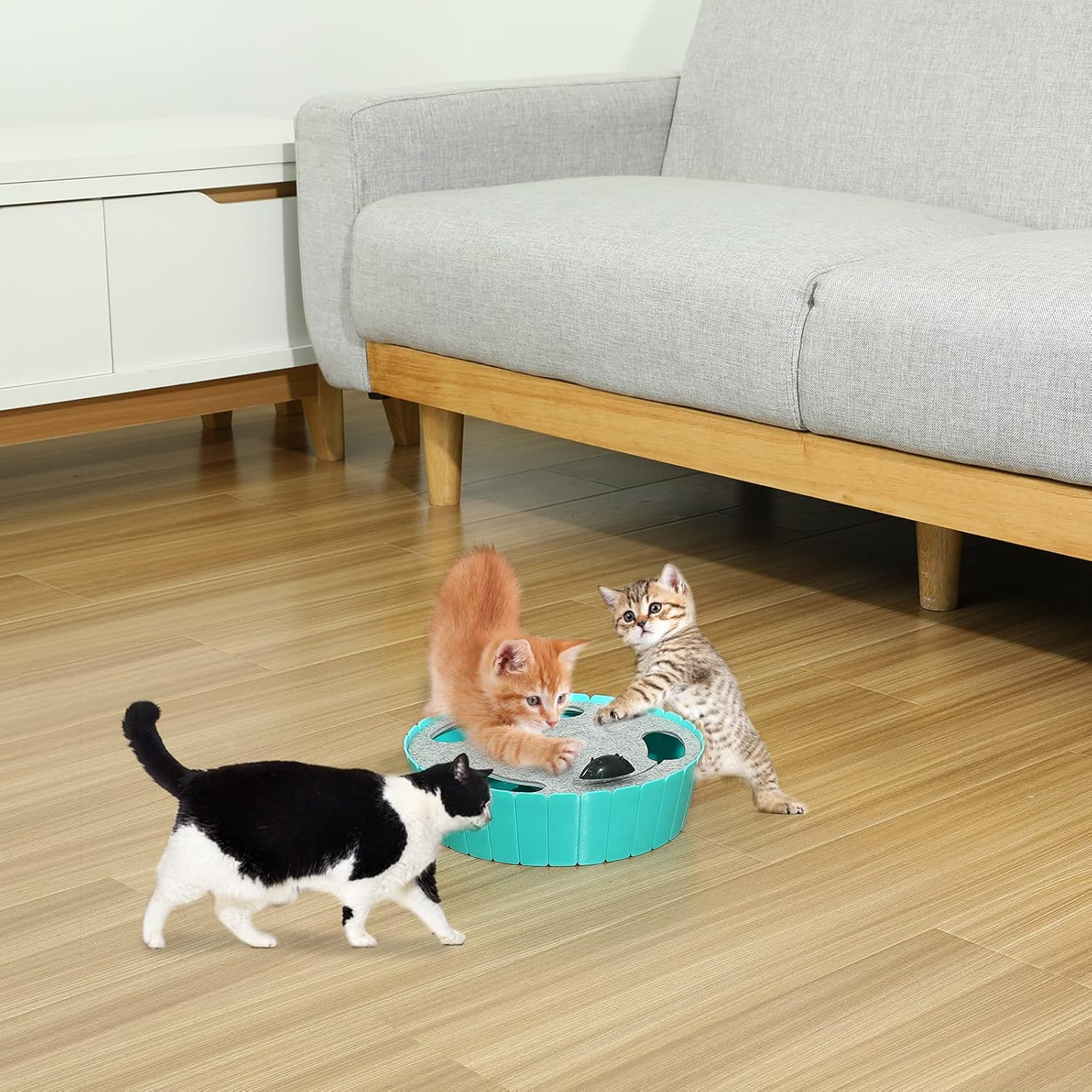 Jouet Pawaboo bleu installé dans un salon moderne