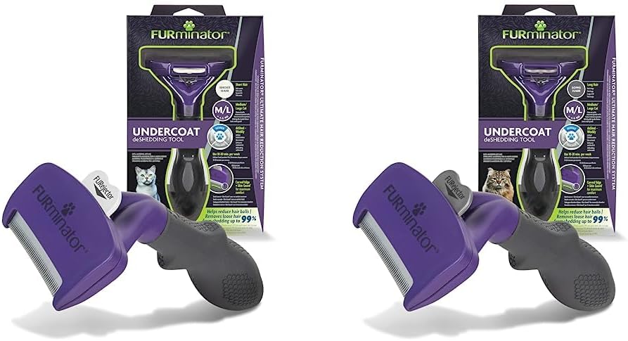 Chat de grande taille en train d’être brossé avec le FURminator