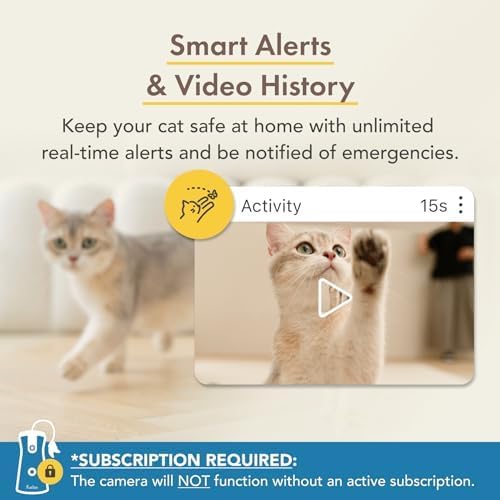 Notification d’alerte miaulement reçue sur smartphone