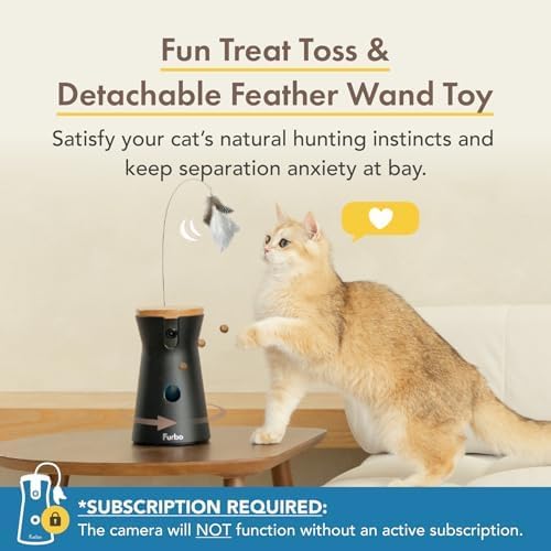 Chat jouant avec le jouet à plumes connecté Furbo