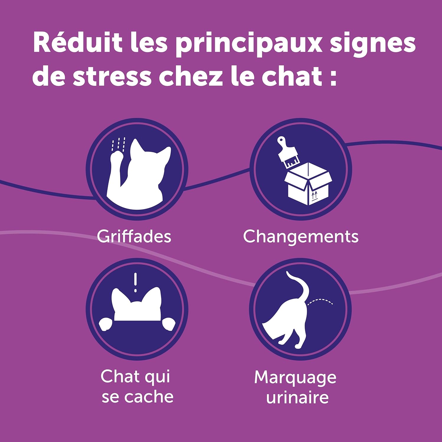 Recharge FELIWAY Classic 48ml posée à côté d’un chat détendu, solution apaisante pour marquage urinaire et griffades.