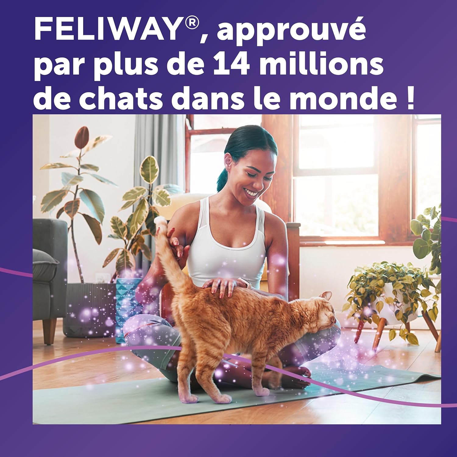 Produit anti-stress chat FELIWAY Classic recommandé par les vétérinaires.