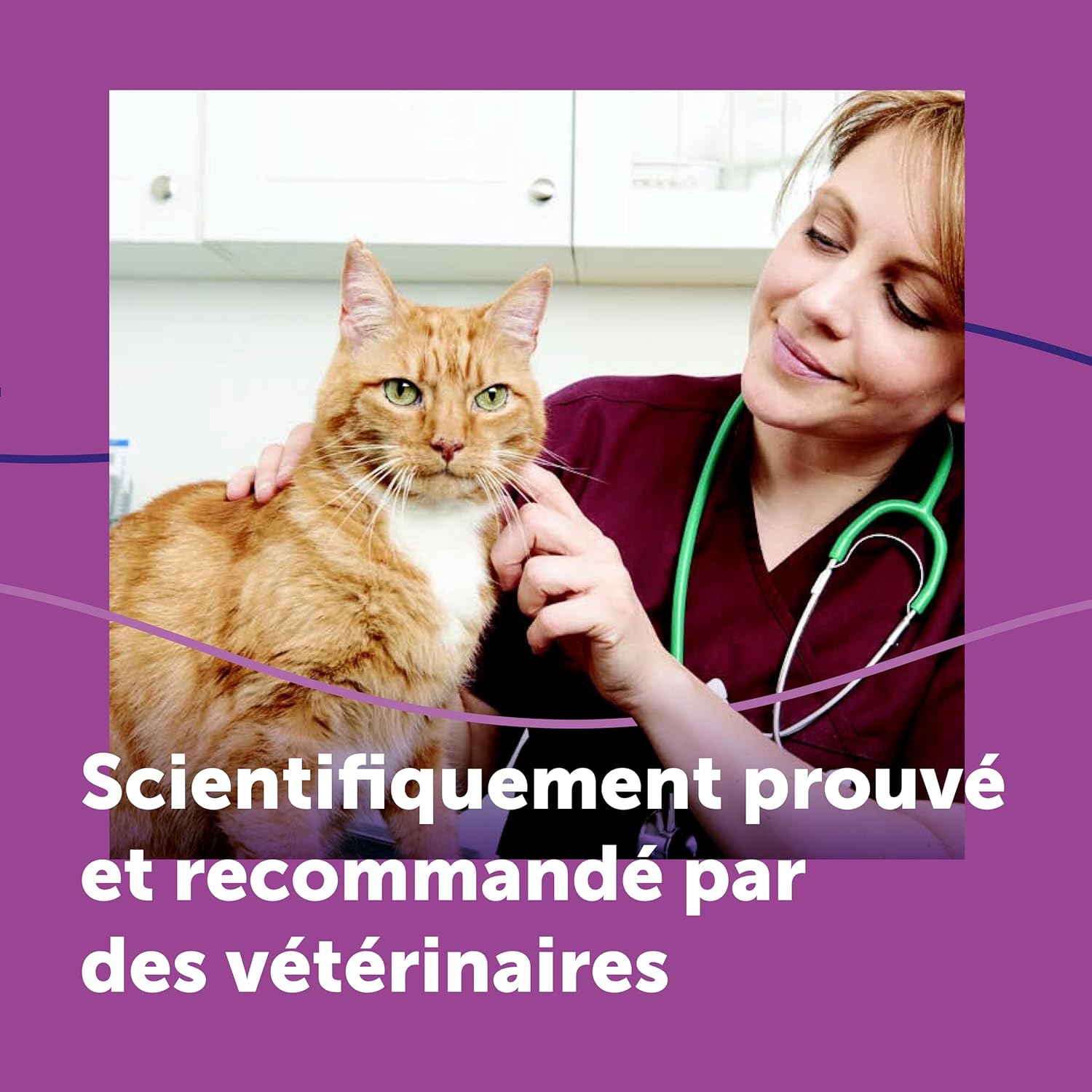 Illustration d’un chat détendu grâce au diffuseur de phéromones FELIWAY.