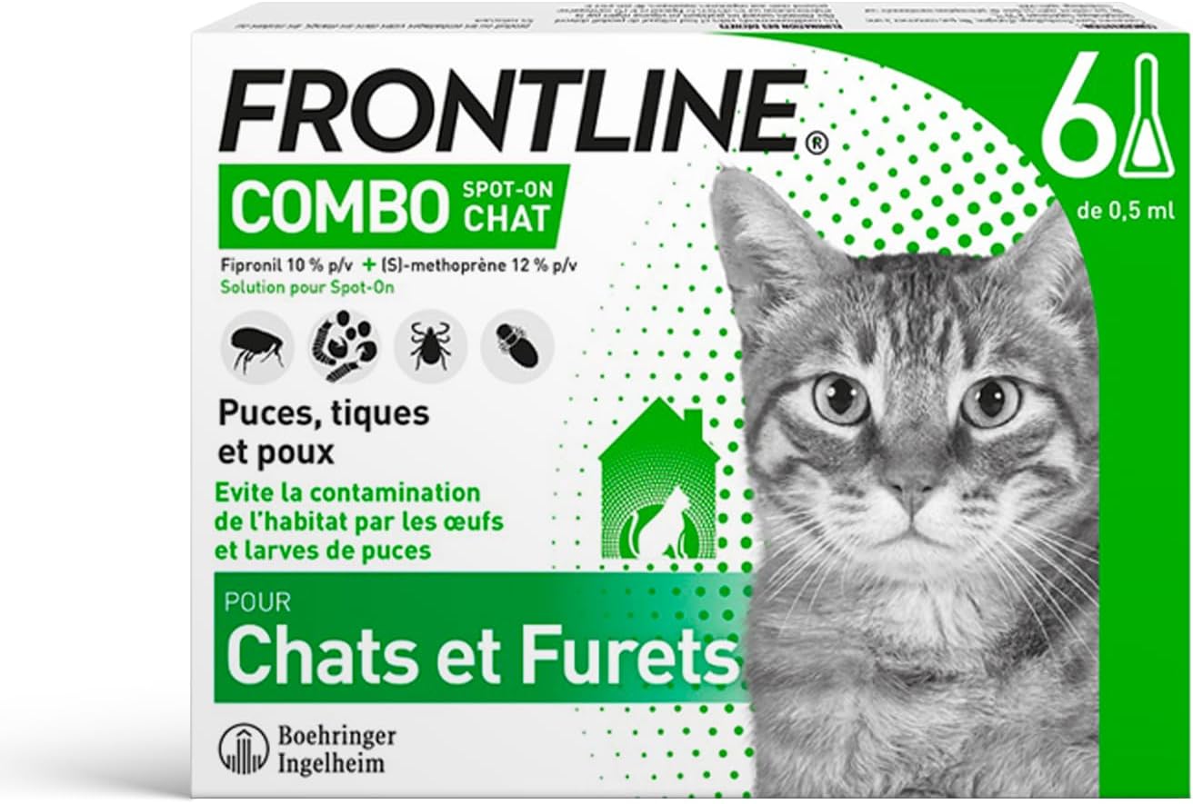 Chat détendu à la maison après traitement antiparasitaire FRONTLINE Combo.