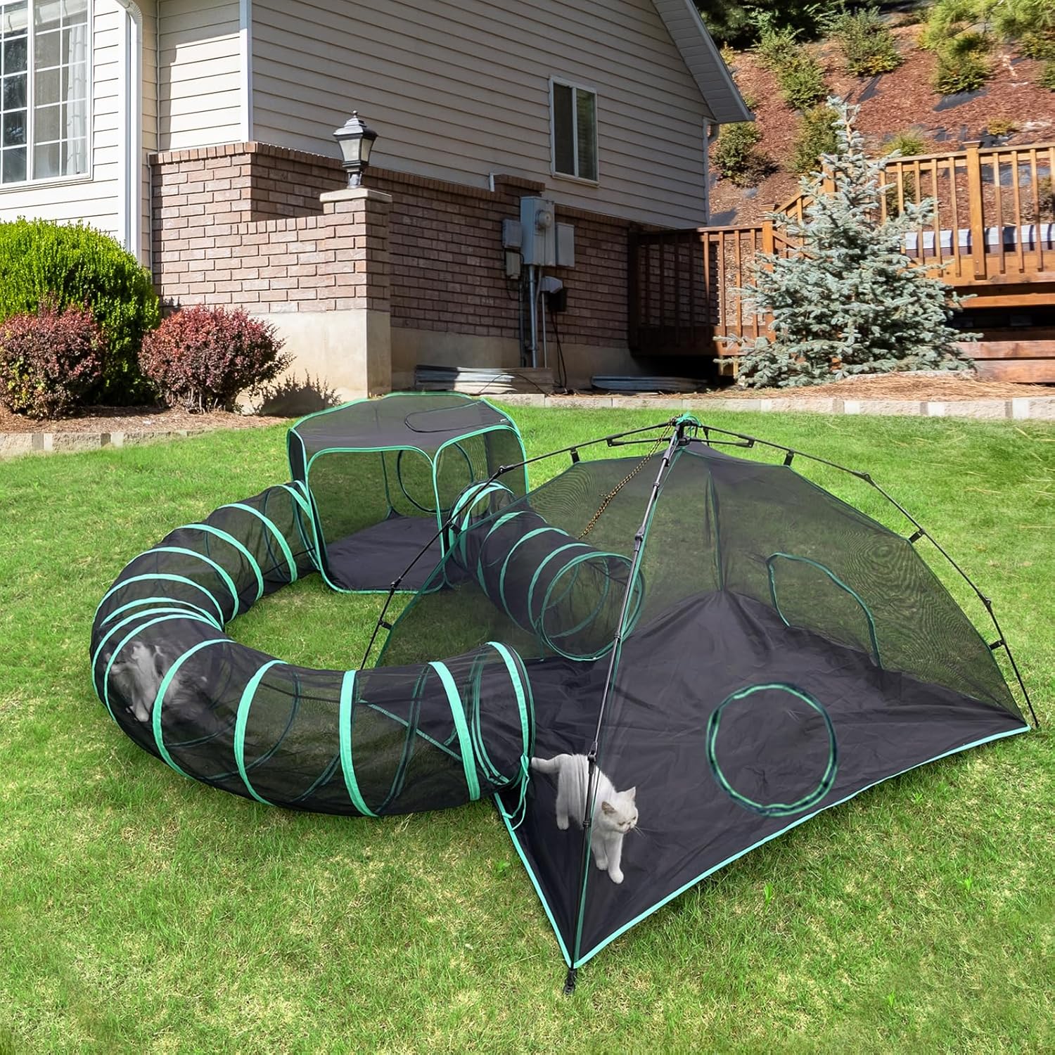 Vue d’ensemble de la structure Pawtenda pliable avec panneaux en maille ventilée pour sécurité extérieure.