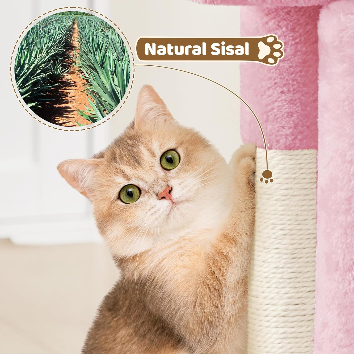 Chaton curieux explore chaque niveau de l’arbre à chat rose Yaheetech pour se reposer et faire ses griffes