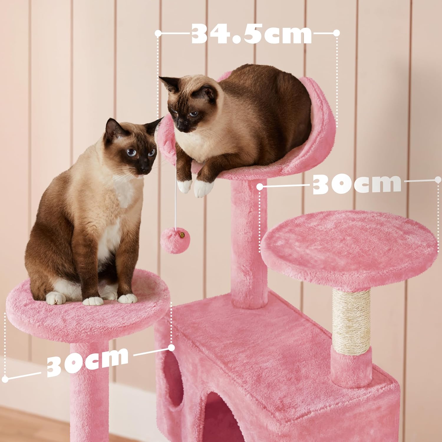 Groupe de chats explorant les plateformes et jouant sur les accessoires suspendus de l’arbre à chat