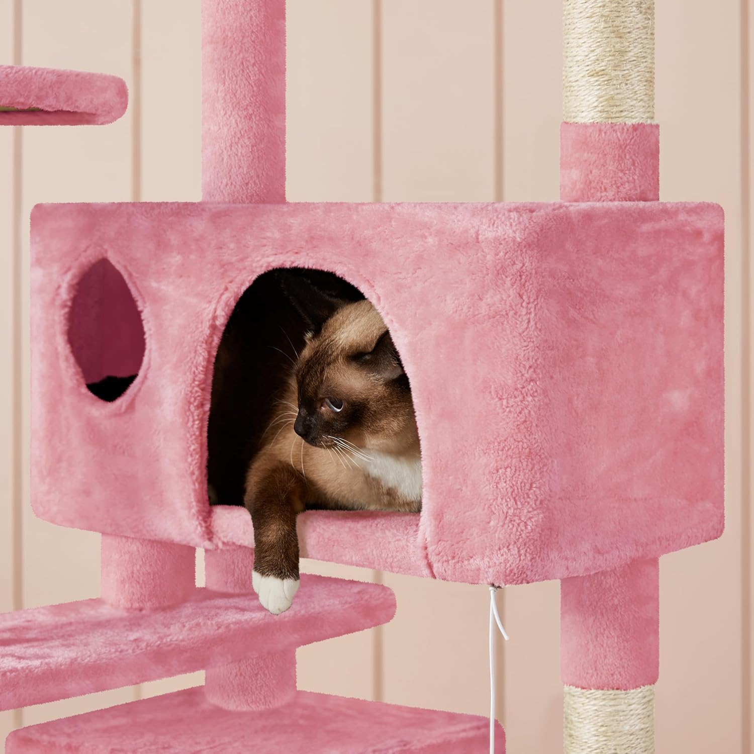 Chat curieux explorant les niches douillettes et les boules suspendues de l’arbre à chat multi-niveaux