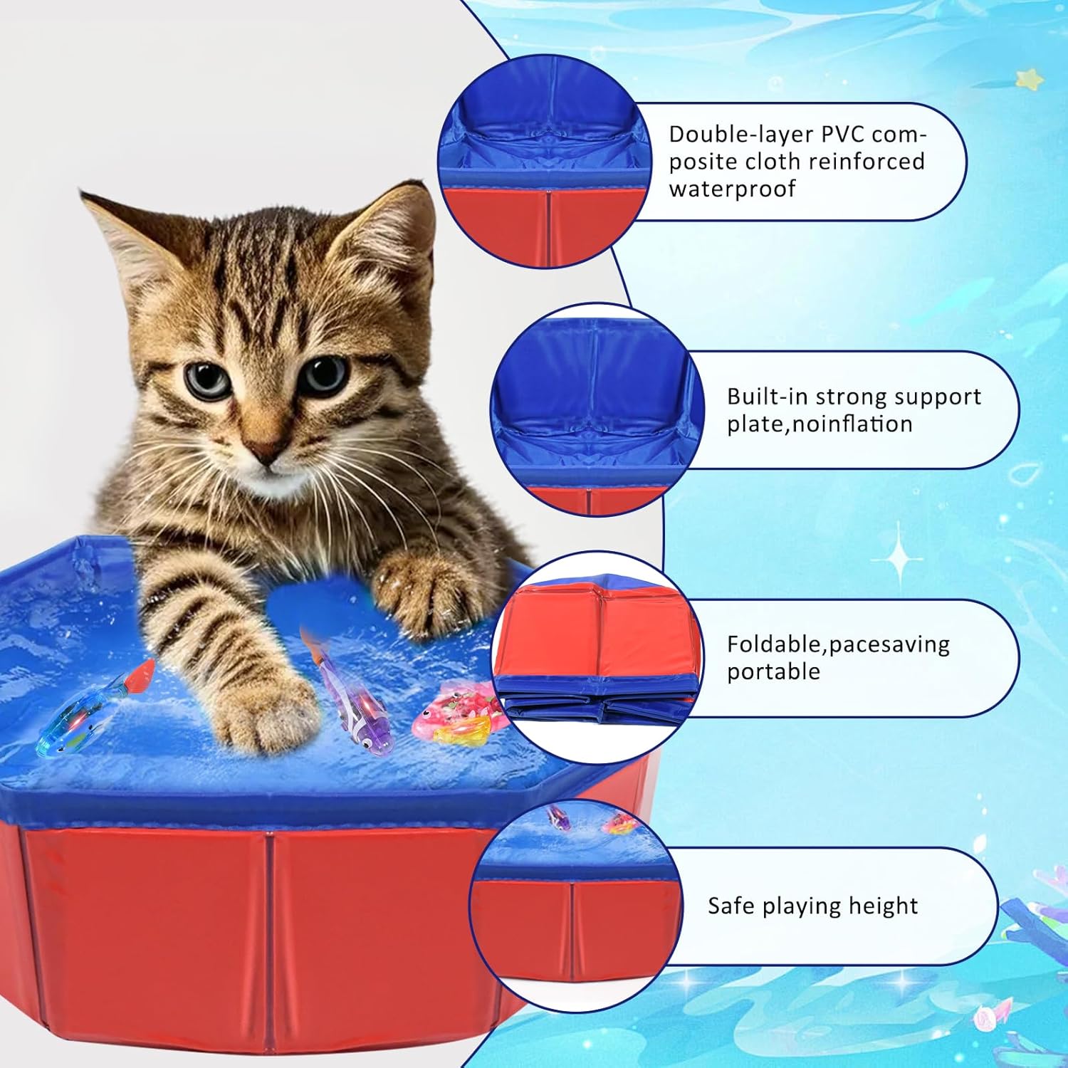 Chaton curieux regarde nager un poisson robot LED rouge dans la piscine interactive Esoes en intérieur