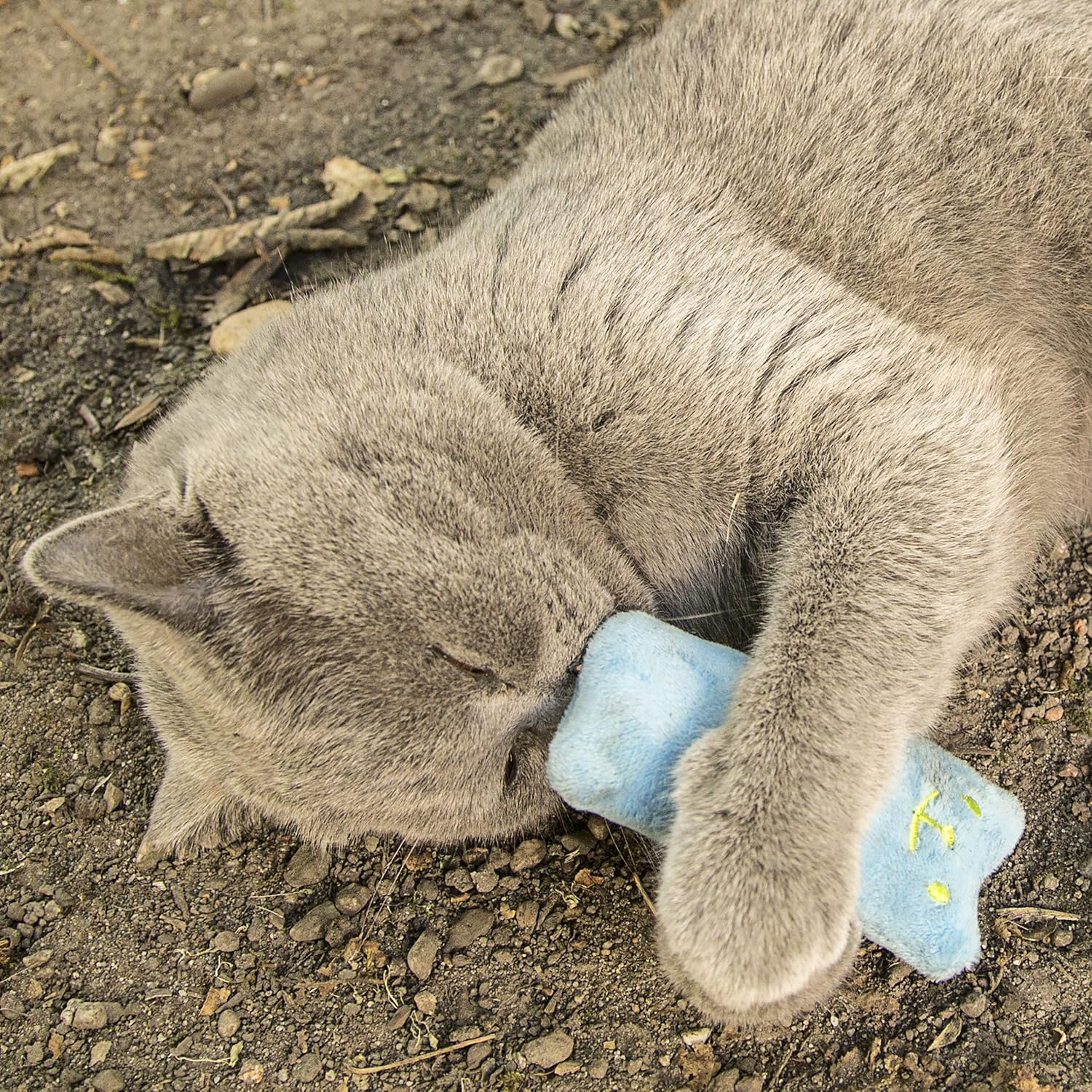 Chaton joueur mordillant une peluche PRETTY KITTY remplie d’herbe à chat à parfum de menthe
