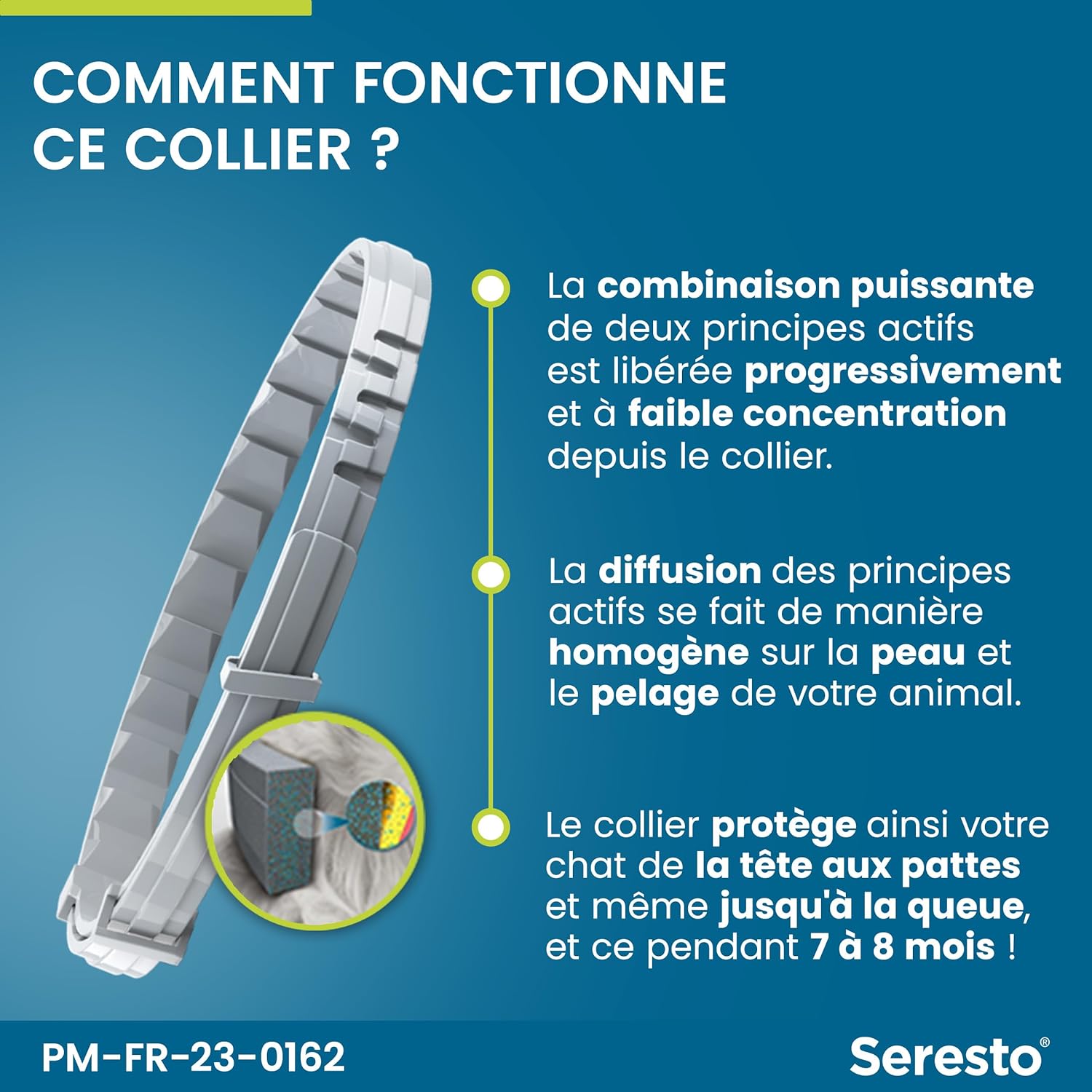 Illustration des puces et tiques repoussées par le collier Seresto grâce à l’effet répulsif