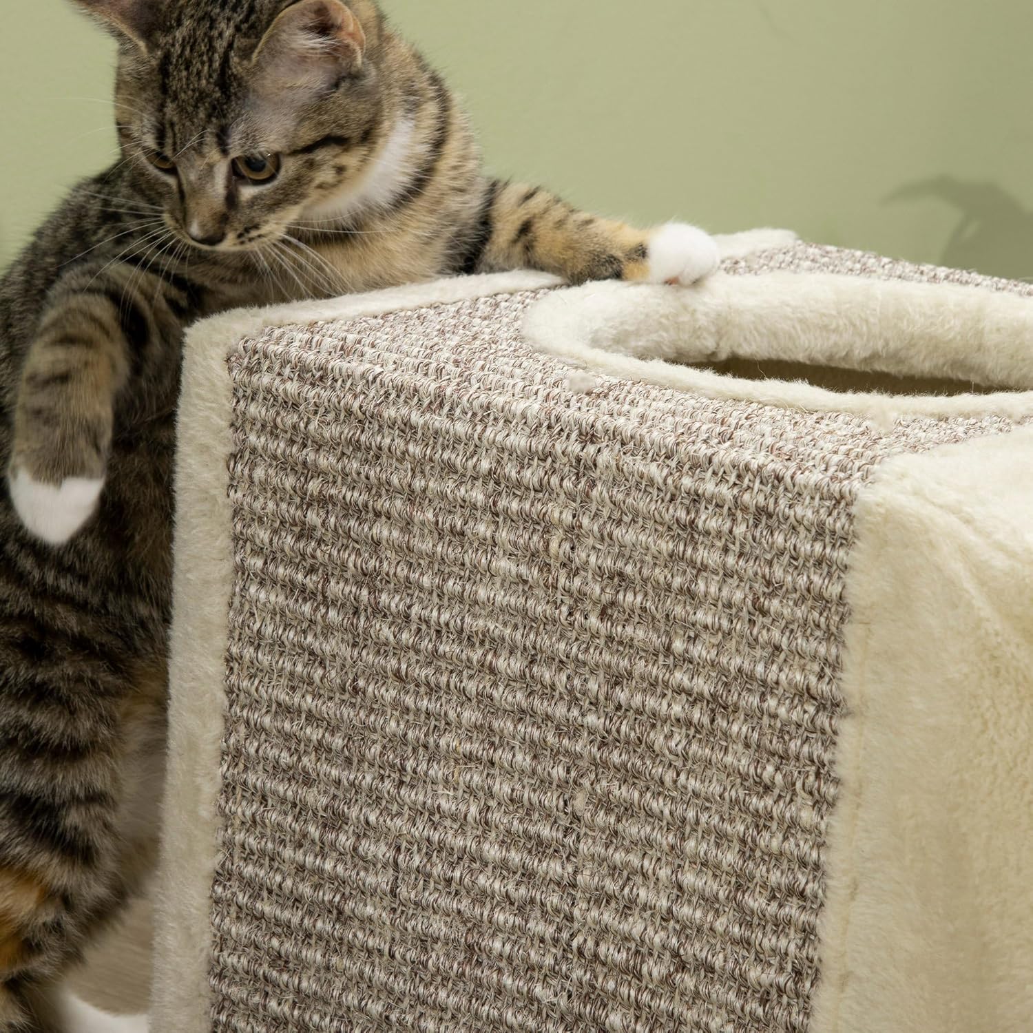 Tunnel pour chat PawHut - jouer et gratter