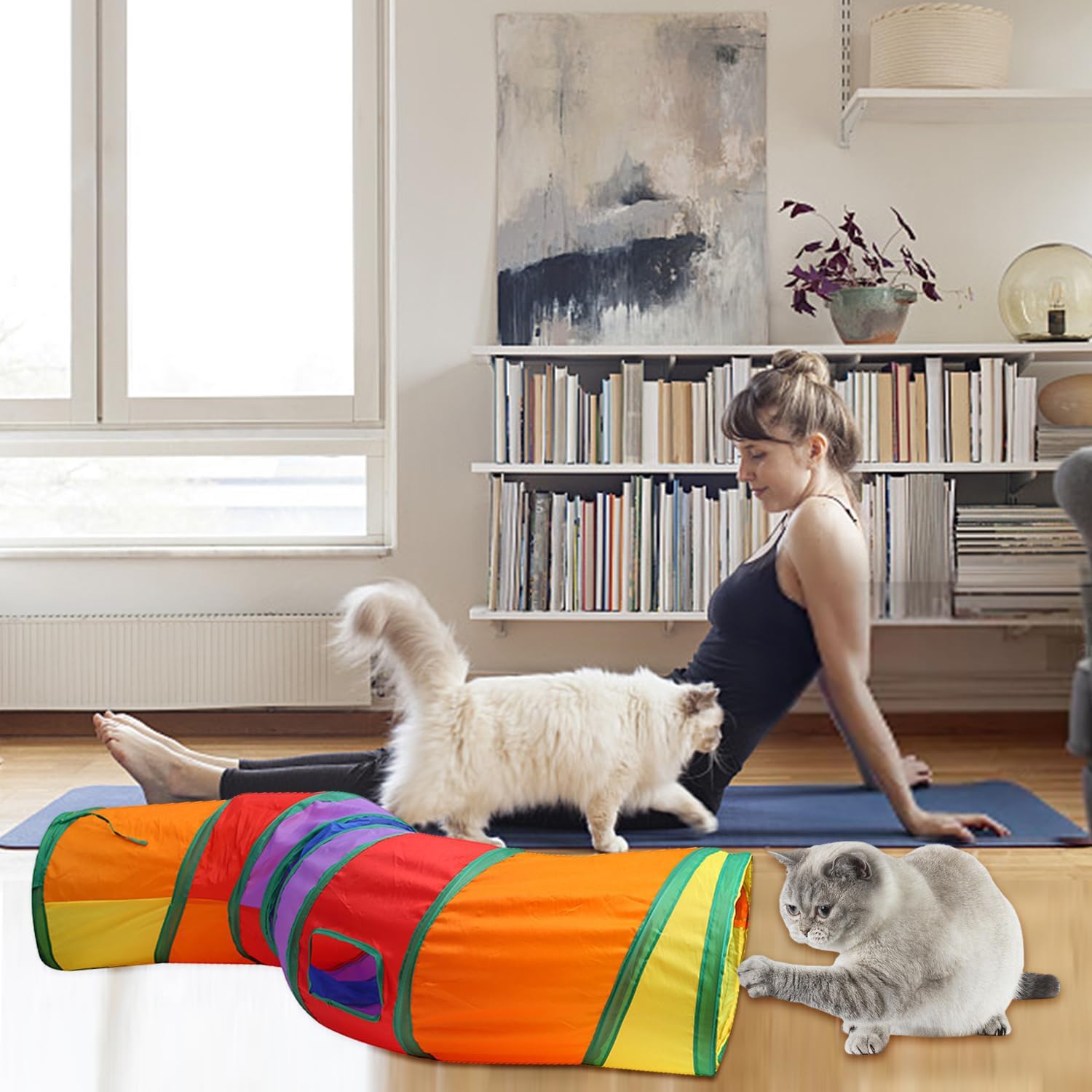 Tunnel UGBO pour chat ou chaton