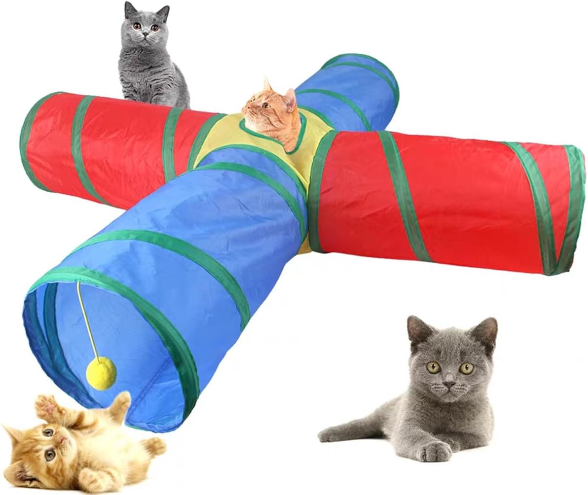 Petit chaton jouant et courant à lintérieur du tunnel multicolore pliable Hjkiopc