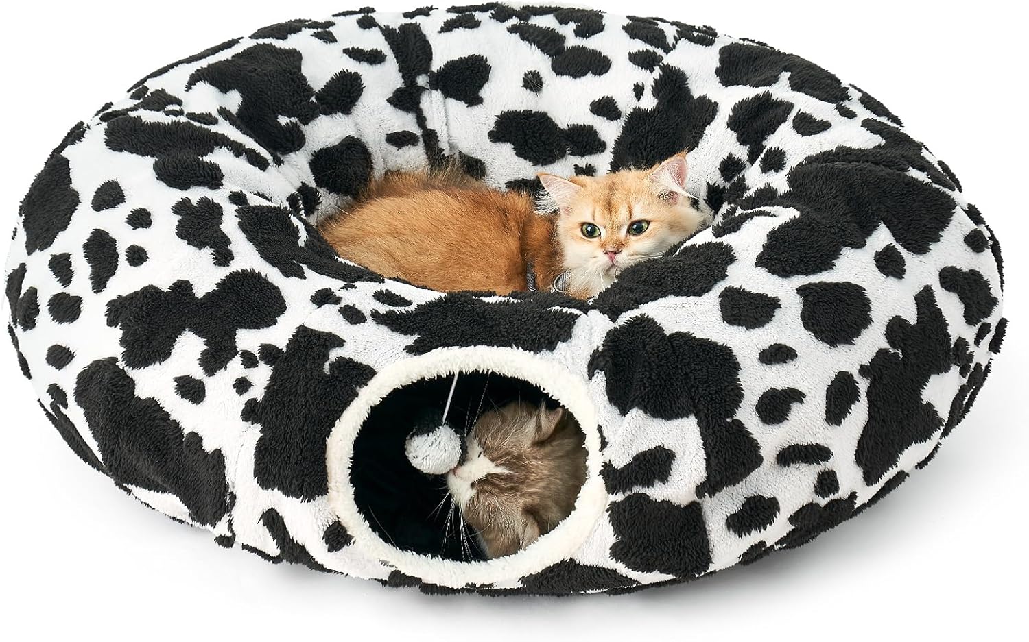 Chat adulte installé dans le tunnel COZY KISS, tête sortie par l’une des deux entrées