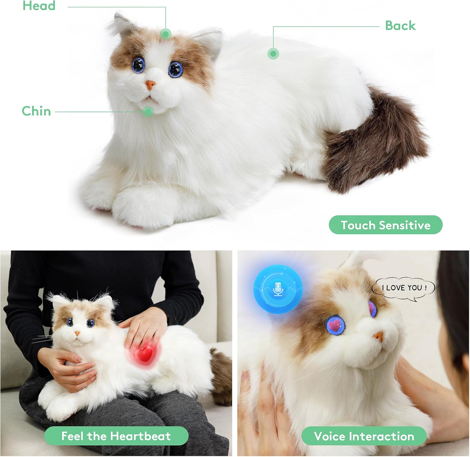 metaCat compagnon idéal pour personnes âgées