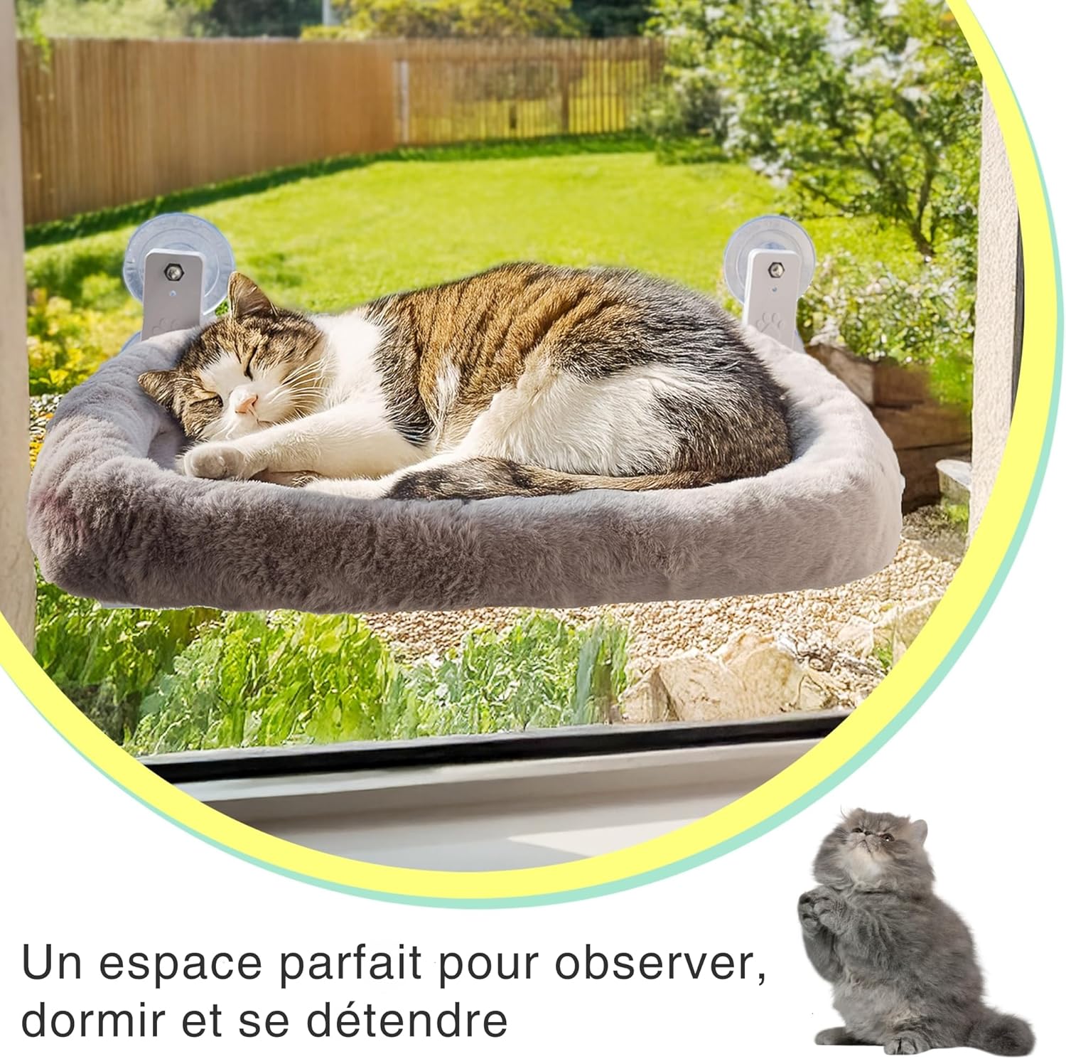 Hamac chat avec ventouses professionnelles sur vitre