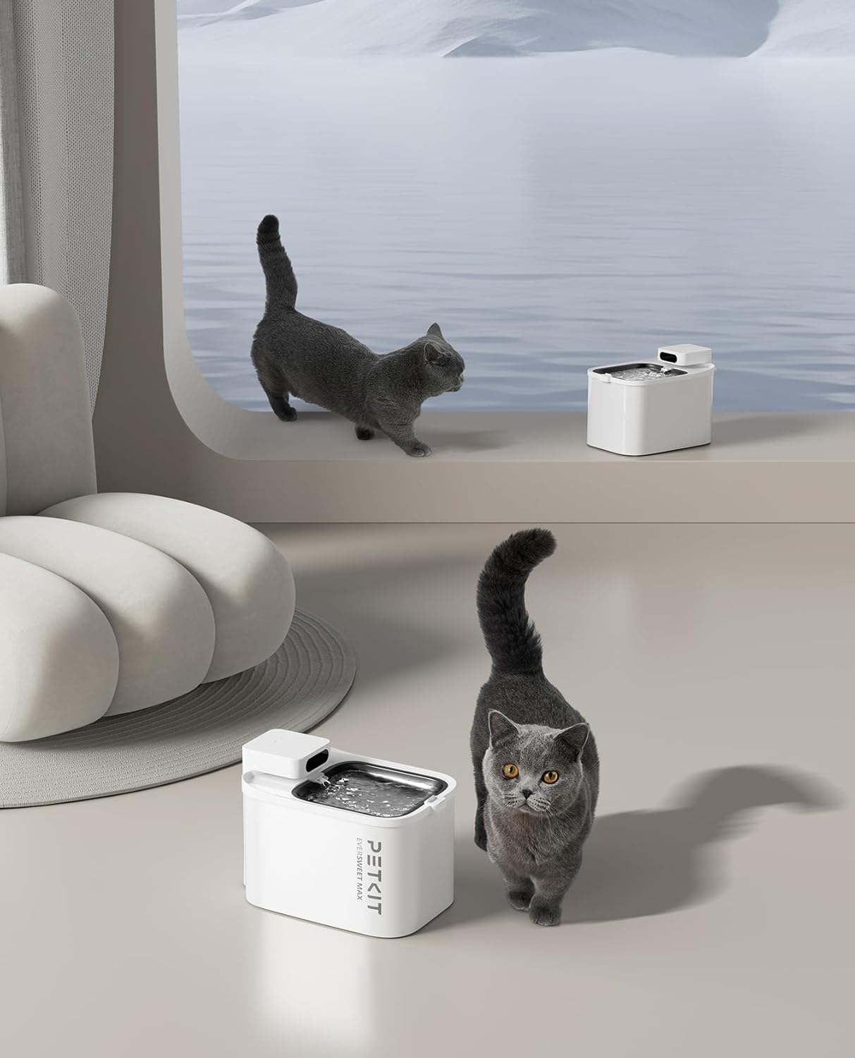 Fontaine à eau silencieuse pour chat grande capacité 3L