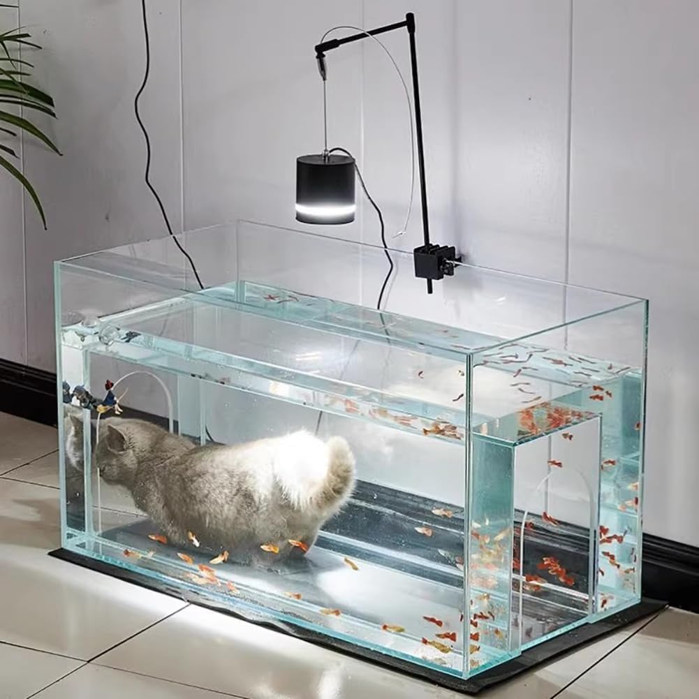 Aquarium design pour chat anxieux MegLob 96L avec tunnel