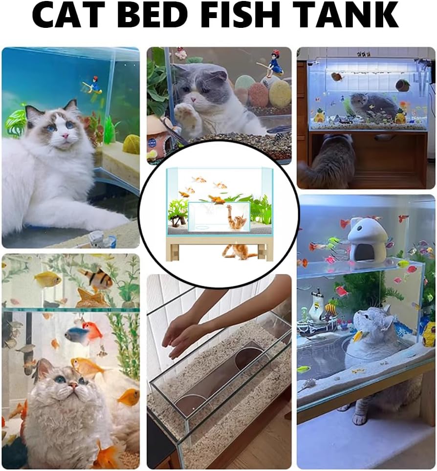 Vue 360 degrés sur aquarium décoratif pour chats