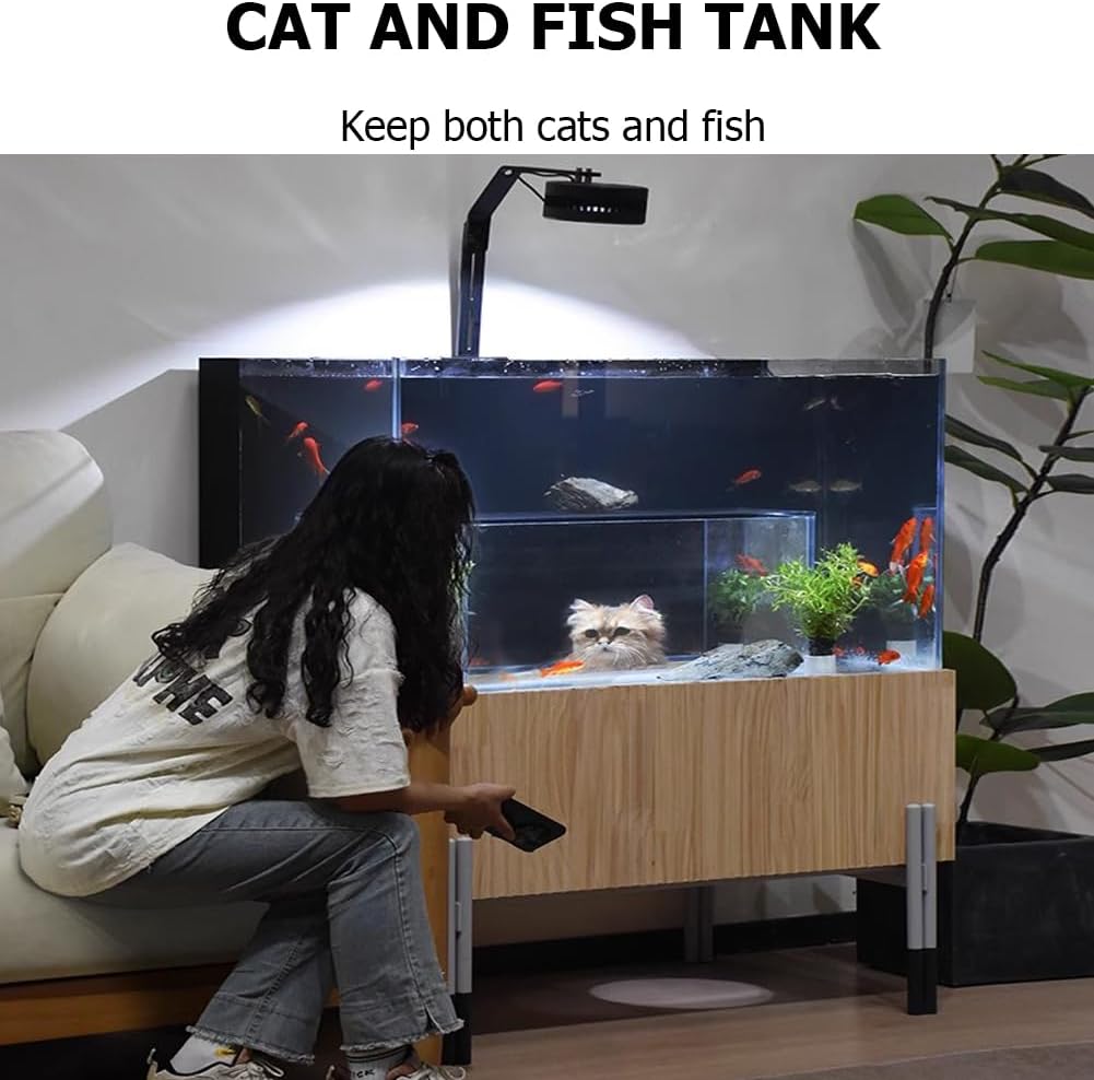 Chat épanoui devant aquarium PA-DABAOO, expérience sensorielle unique