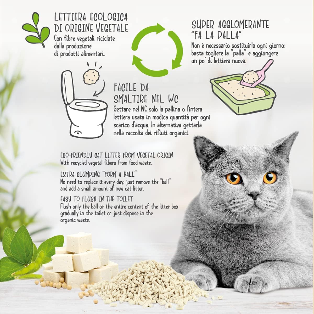 Chat utilisant la litière végétale Cat