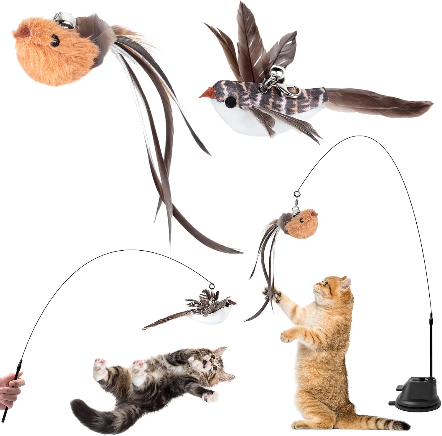 Canne à pêche pour chat